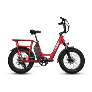 Amigo 2024 - All Purpose Compact Cargo E-Bike