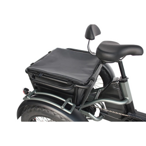 Papa Grande Pro 2024 - 3 Wheel E-Trike