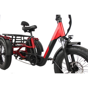 Papa Grande Pro 2024 - 3 Wheel E-Trike