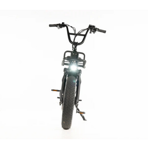 Amigo 2024 - All Purpose Compact Cargo E-Bike