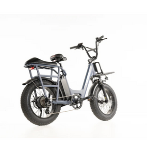 Amigo 2024 - All Purpose Compact Cargo E-Bike