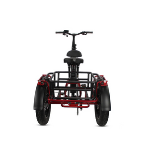 Papa Grande Pro 2024 - 3 Wheel E-Trike