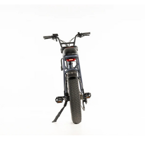 Amigo 2024 - All Purpose Compact Cargo E-Bike