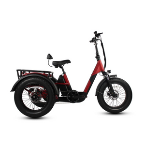 Papa Grande Pro 2024 - 3 Wheel E-Trike