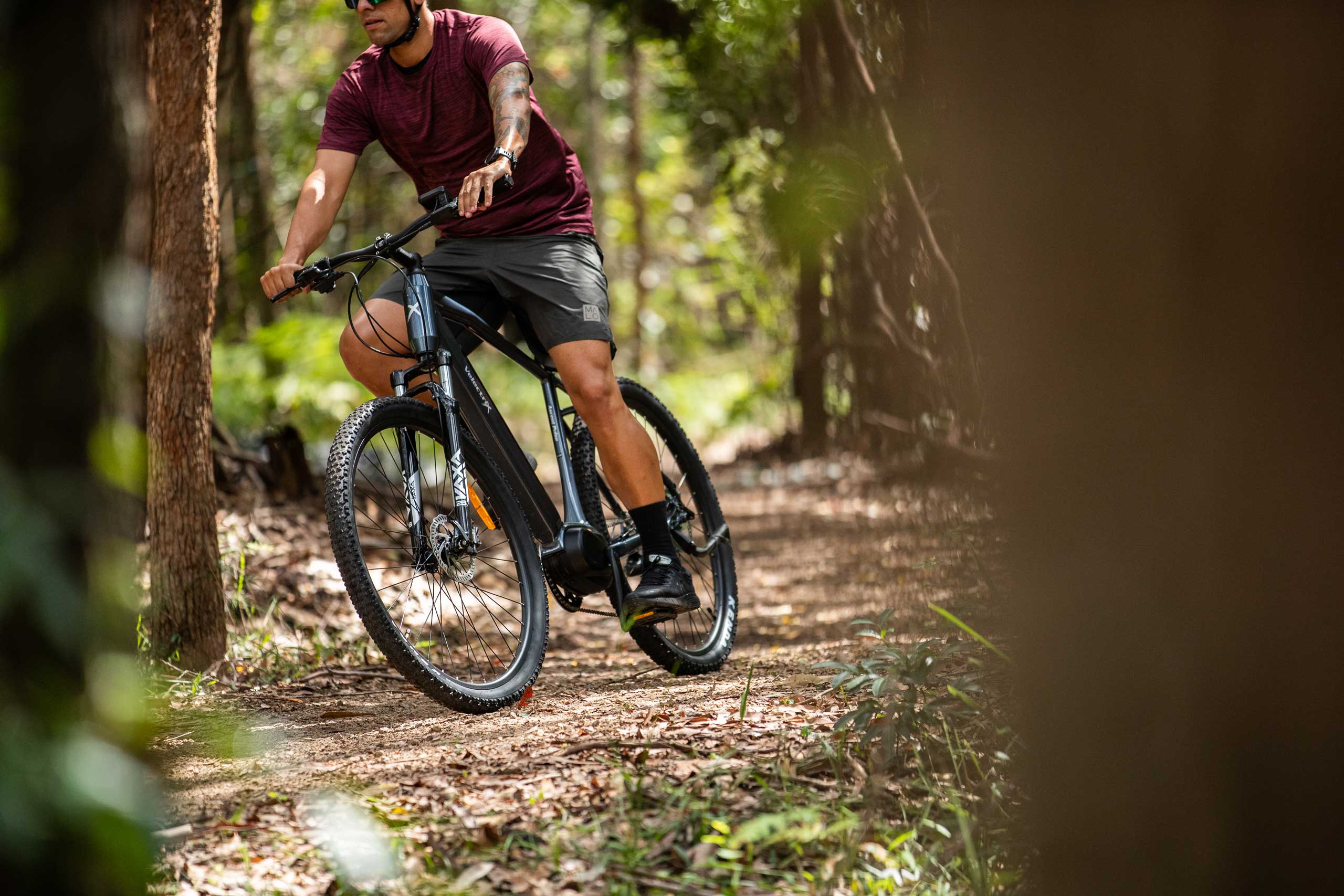 Ascent terrain online bike